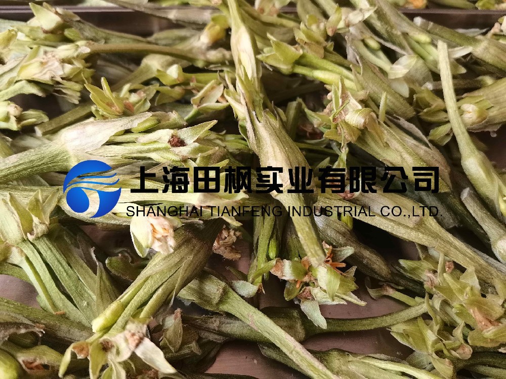 水芙蓉凍干：藥食同源凍干機應用水芙蓉凍干加工