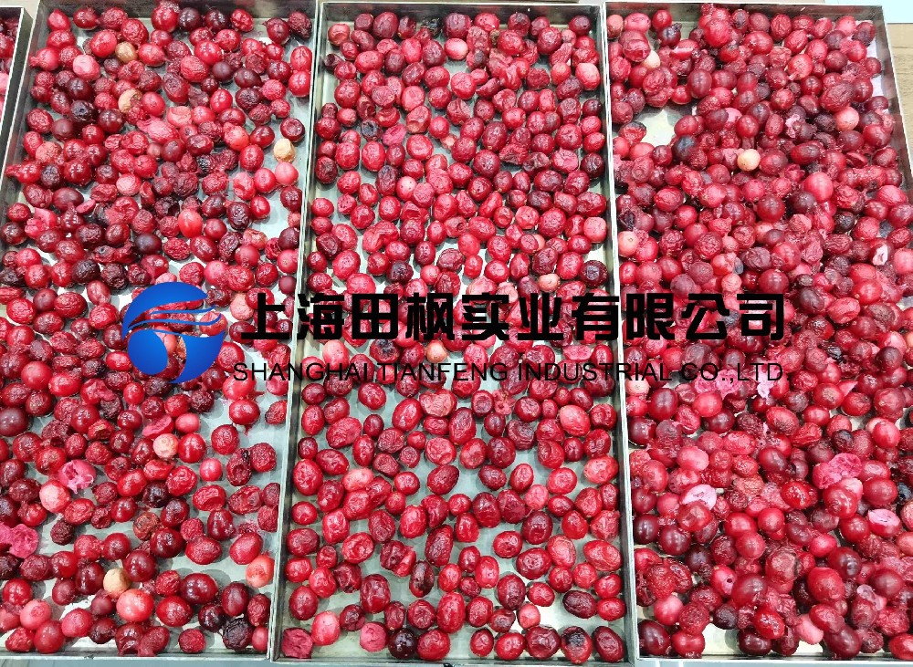 蔓越莓凍干：水果真空冷凍干燥機(jī)應(yīng)用